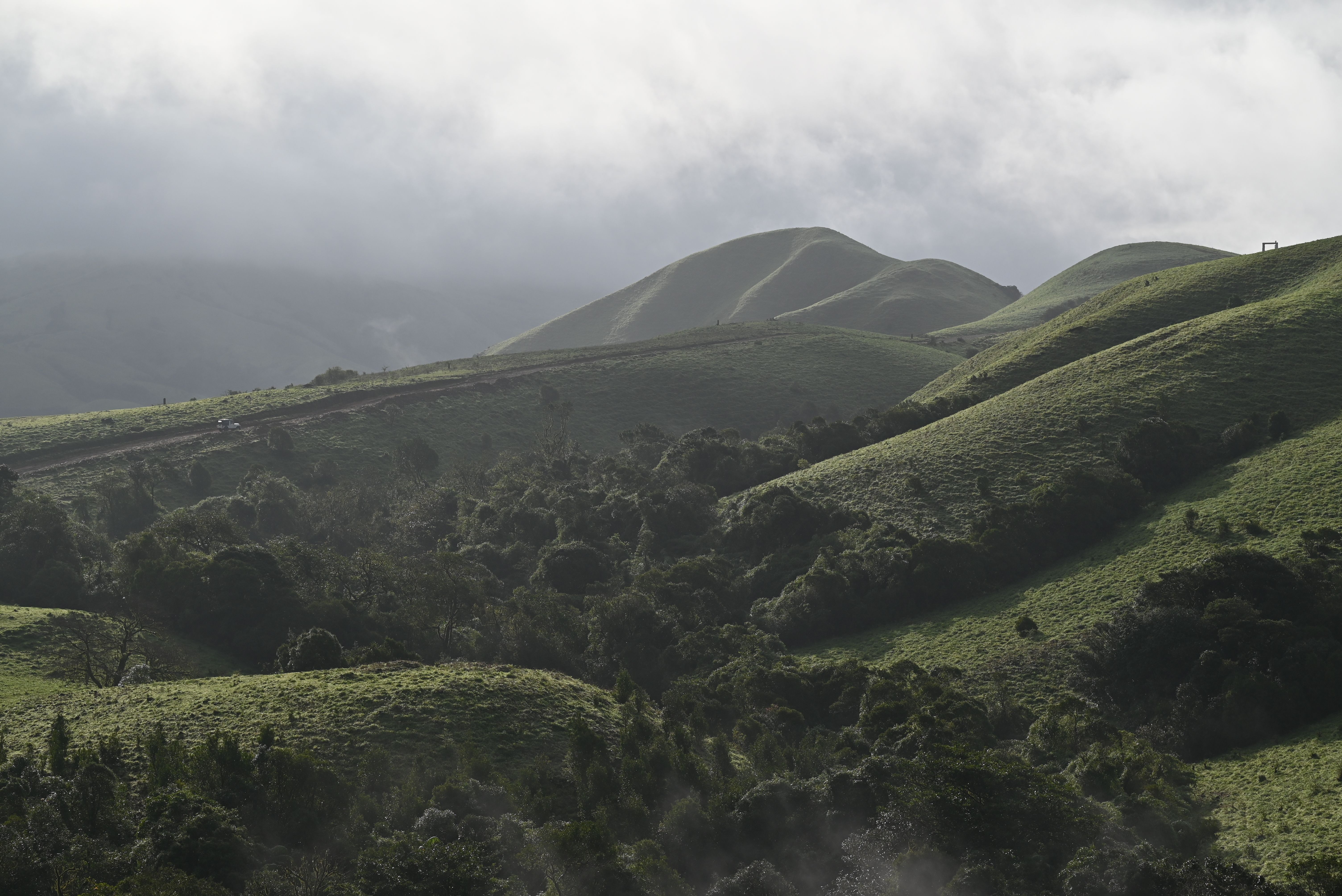 Tea-covered hills at sunrise with a road curving through the slopes
