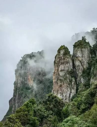 Kodiakanal Tour Packages — Kodiakanal