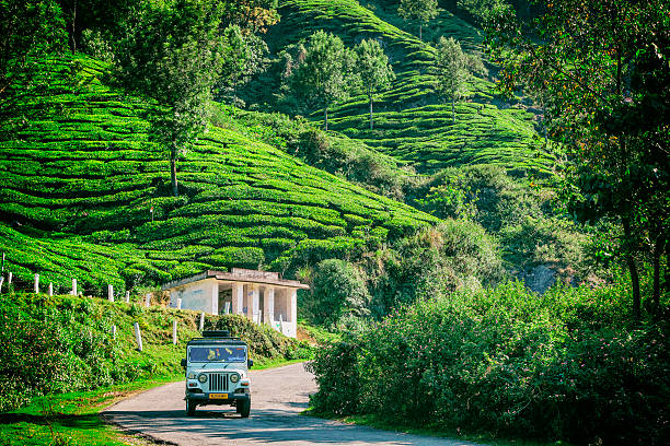 Munnar Tour Packages — Munnar
