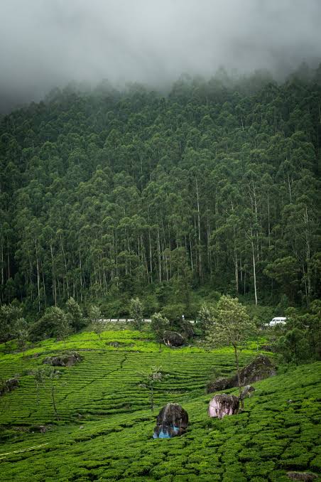 Valparai Tour Packages — Valparai